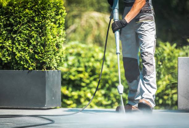 Best Animal Enclosure Cleaning  in Chestertown, MD