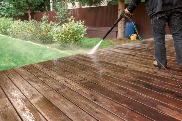 Best Driveway Pressure Washing  in Chestertown, MD