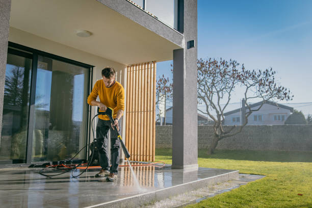 Best Patio and Deck Pressure Washing  in Chestertown, MD